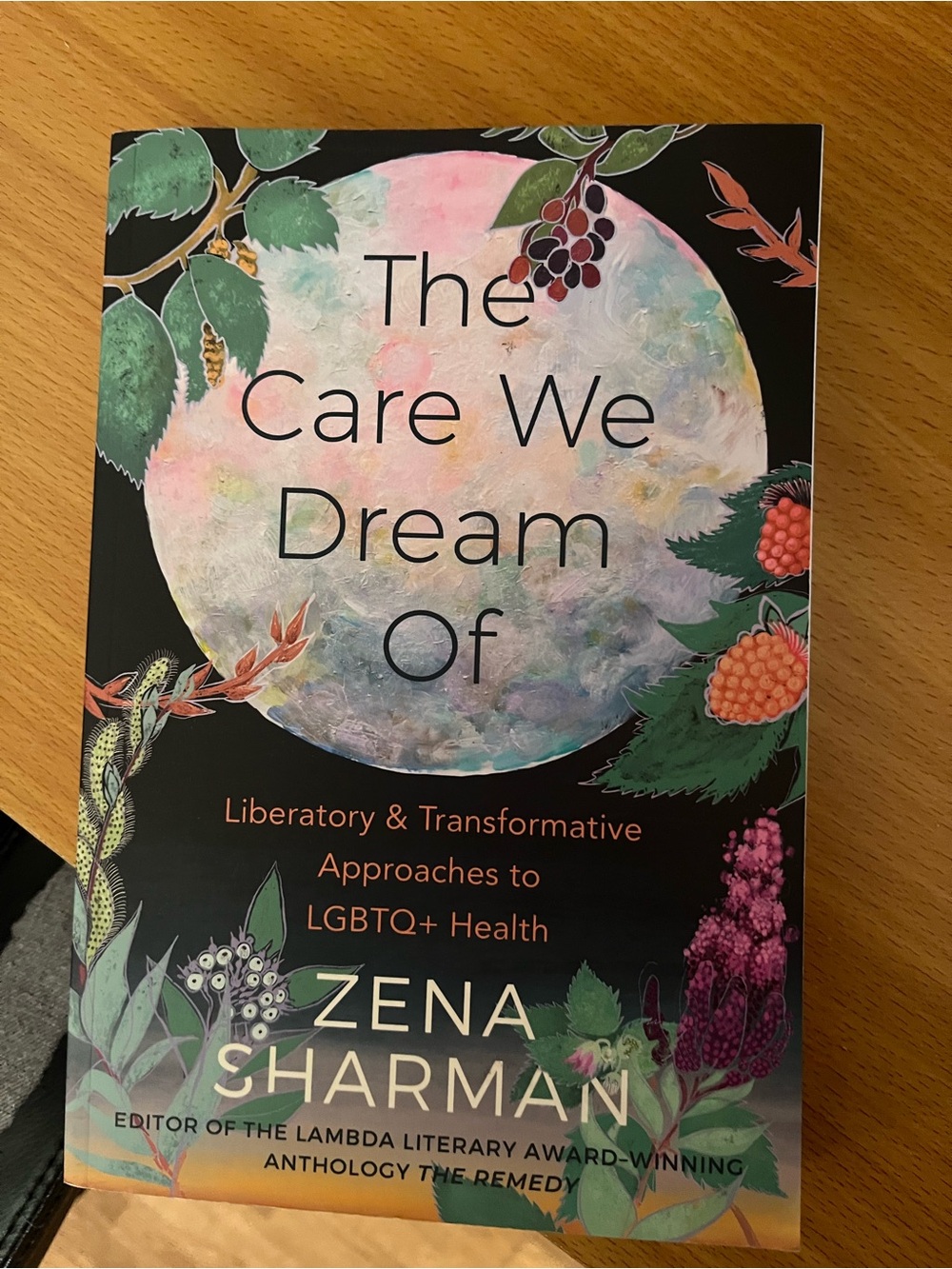 The Care We Dream Of LGBTQ+ Book